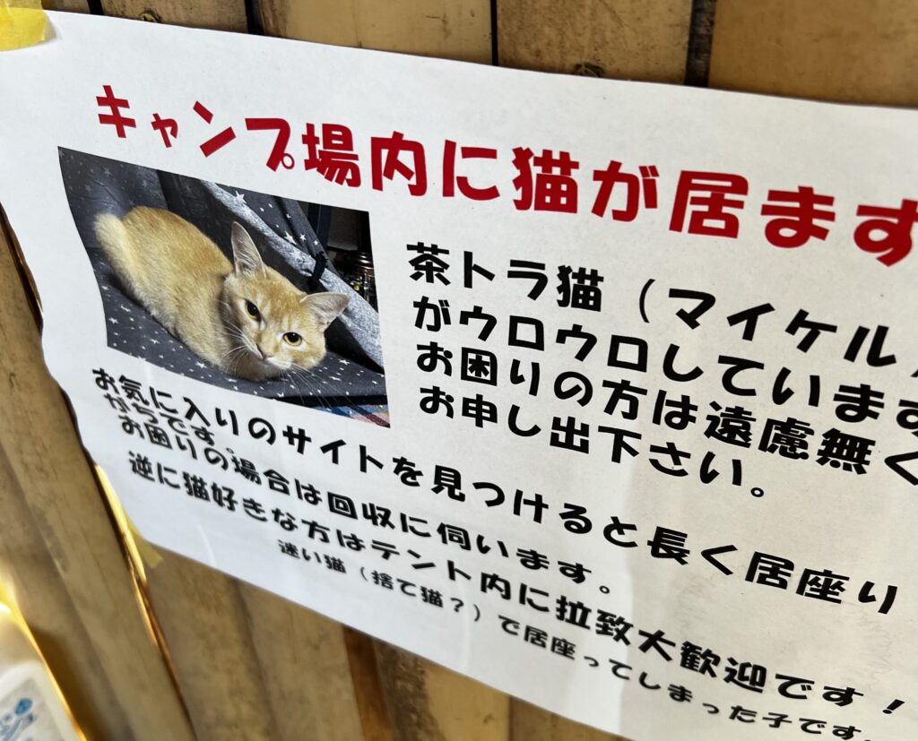 マイケルくん